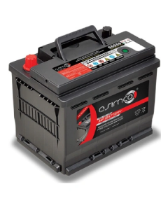 Asimco CMF-55B24LS-ASIMCO 12V 45AH