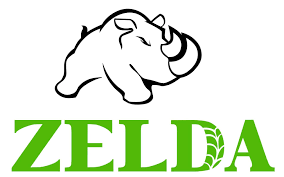 Zelda
